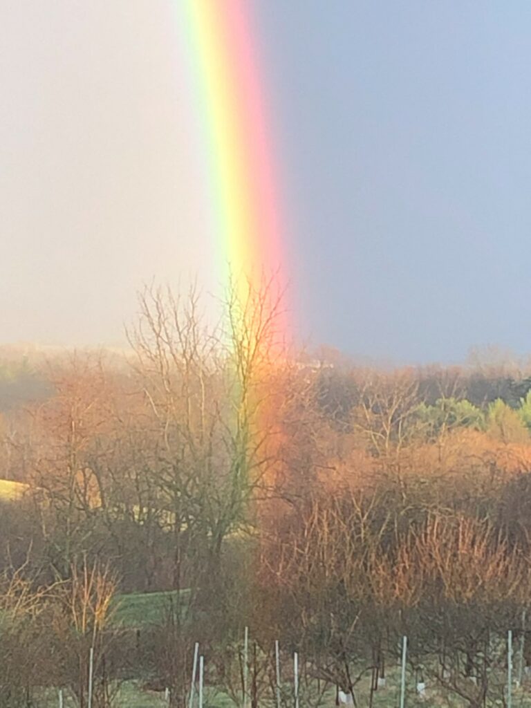 A bright wide rainbow ends at Willow Oaks craft cider