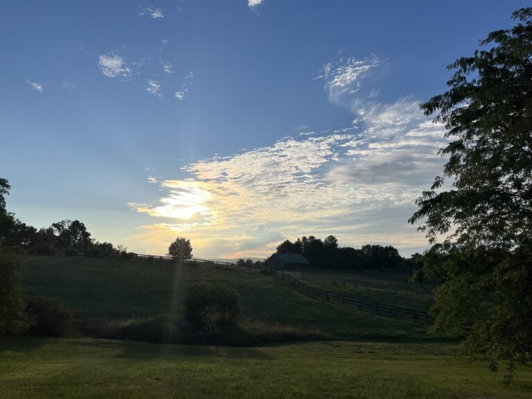 sun rise at Willow Oaks