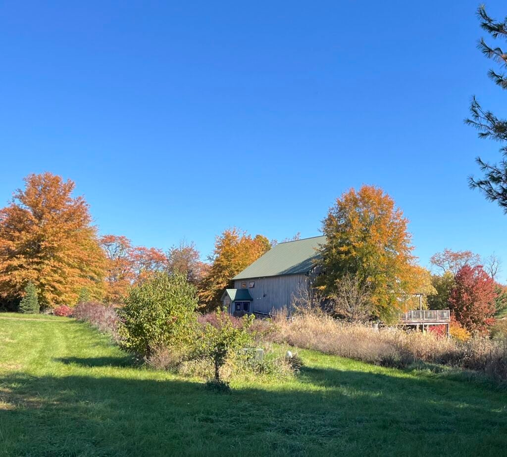 Autumn glow