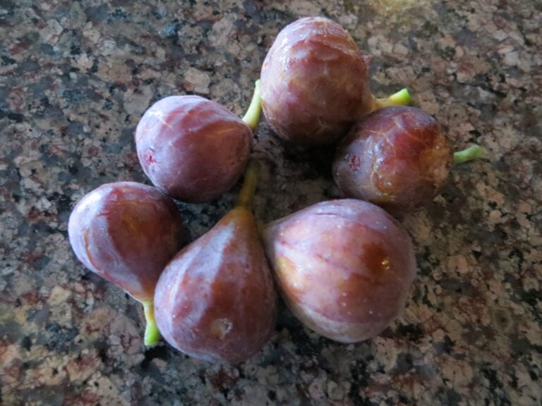 figs